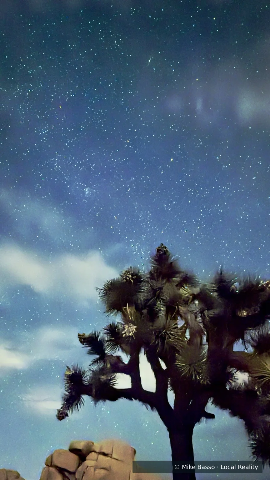 Mike Basso’s watermarked photograph of a Joshua tree beneath clouds and stars